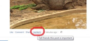 Highlight Facebook Post